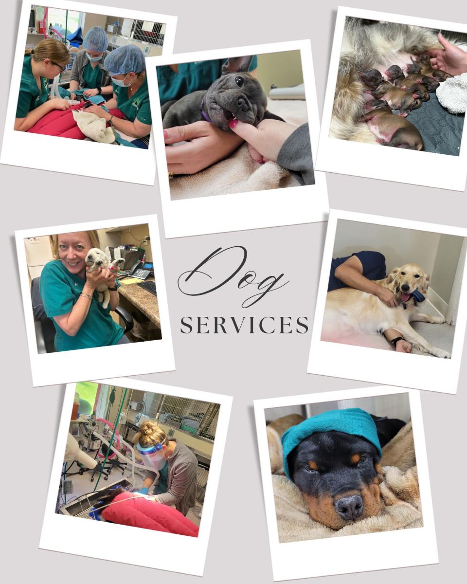 service collage