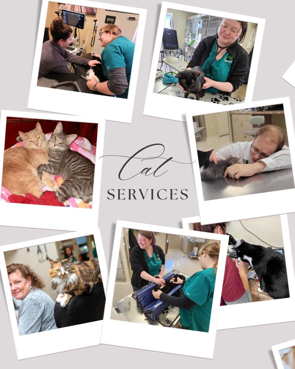 Service Image