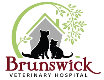 Brunswick Veterinary Hospital